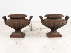 Pair of French Cast Iron Urns Early 20th Century - 4036665