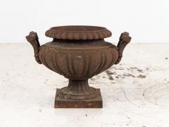 Pair of French Cast Iron Urns Early 20th Century - 4036666