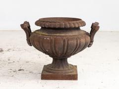 Pair of French Cast Iron Urns Early 20th Century - 4036667