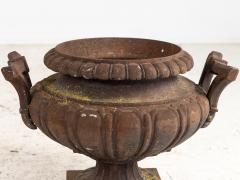 Pair of French Cast Iron Urns Early 20th Century - 4036669