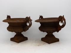 Pair of French Cast Iron Urns late 19th Century - 3364534