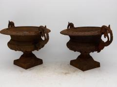 Pair of French Cast Iron Urns late 19th Century - 3364535