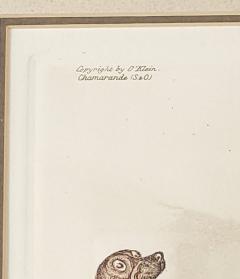 Pair of French Dog Prints circa 1950 - 4245337