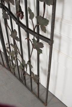 Pair of French Early 20th Century Painted Wrought Iron Grapevine Gates - 925304