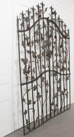 Pair of French Early 20th Century Painted Wrought Iron Grapevine Gates - 925311