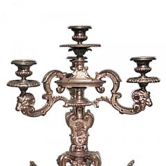 Pair of French Empire Bronze Dore Candelabras with Sphinx Figures - 4631056