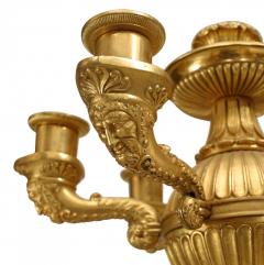 Pair of French Empire Bronze Dore Ram Head Candelabras - 4408240