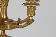 Pair of French Gilt Bronze Six Light Candelabra circa 1860 - 4158420