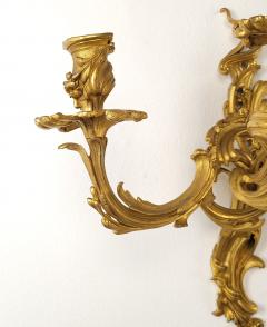 Pair of French Louis XV Gilt Bronze Ormolu Sconces circa 1740 - 3895111