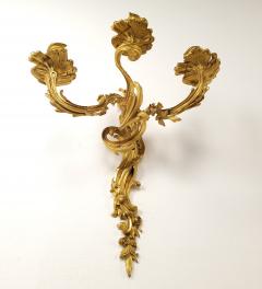 Pair of French Louis XV Gilt Bronze Ormolu Sconces circa 1740 - 3895114