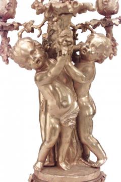 Pair of French Louis XV Style Bronze Dore Candelabras - 4200740