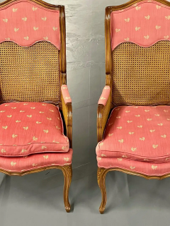 Pair of French Louis XV Style Cane Occasional Armchairs Wingbacks France - 2488758