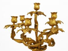 Pair of French Louis XV Style Gilt Bronze Cupid Candelabras - 4200303