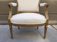 Pair of French Louis XVI Style 19th Century Giltwood Carved Chairs - 449952