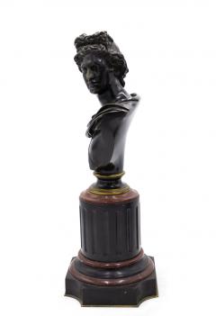 Pair of French Victorian Apollo and Diana Busts - 4633650