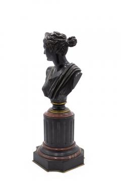 Pair of French Victorian Apollo and Diana Busts - 4633655
