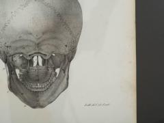 Pair of French anatomical engravings - 785112