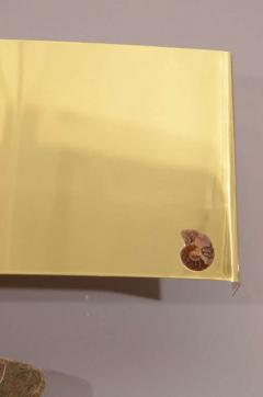 Pair of Important Ammonite and Brass Wall Lights Sconces - 4627821