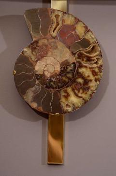 Pair of Important Ammonite and Brass Wall Lights Sconces - 4627829