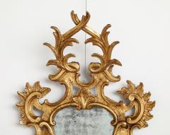 Pair of Italian Eighteenth Century Rococo Carved and Gilded Wood Mirrors - 3524689