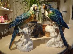 Pair of Italian Glazed Terracotta Parrot Statues - 4487503