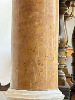 Pair of Italian Marble columns - 3332818