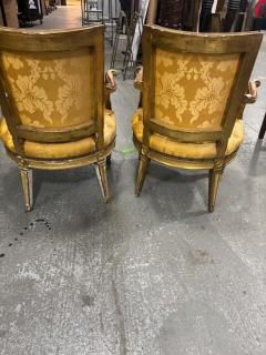 Pair of Italian Neo Classic Gold Armchairs - 4631717