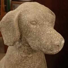 Pair of Labrador Retrievers on Stone - 4004436