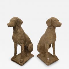 Pair of Labrador Retrievers on Stone - 4005808