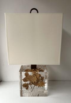 Pair of Lamps Fractal Resin Inclusion Leaves and Brass France 1970s - 4312517