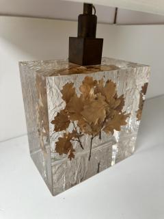 Pair of Lamps Fractal Resin Inclusion Leaves and Brass France 1970s - 4312519