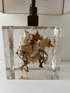 Pair of Lamps Fractal Resin Inclusion Leaves and Brass France 1970s - 4312522