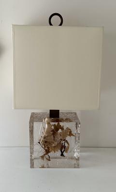 Pair of Lamps Fractal Resin Inclusion Leaves and Brass France 1970s - 4312527