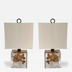 Pair of Lamps Fractal Resin Inclusion Leaves and Brass France 1970s - 4319697