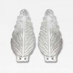 Pair of Large Murano Blown Leaf Sconces - 133251