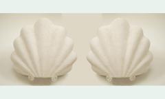 Pair of Large Plaster Shells Wall Sconces - 4382950