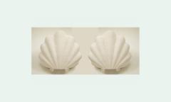 Pair of Large Plaster Shells Wall Sconces - 4382951