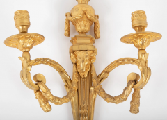 Pair of Louis XVI Gilt Bronze Two Lite Sconces - 2679684