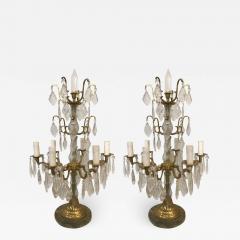 Pair of Louis XVI Style Bronze Candelabras - 2081418