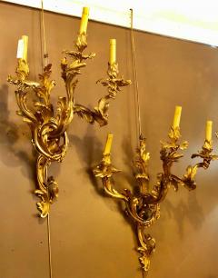 Pair of Louis XVI Style Bronze Three Light Gilt Bronze Sconces - 1302728