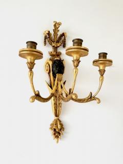 Pair of Louis XVI Style Gilt Wood Candle Sconces - 4496308