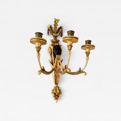 Pair of Louis XVI Style Gilt Wood Candle Sconces - 4496384
