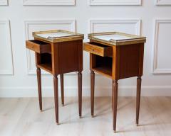 Pair of Louis XVI Style Mahogany Bedside Tables - 4458433
