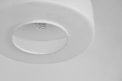 Pair of Matte Opal Glass Ceiling Lamps The Netherlands 1960s - 4387045