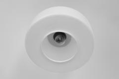 Pair of Matte Opal Glass Ceiling Lamps The Netherlands 1960s - 4387049