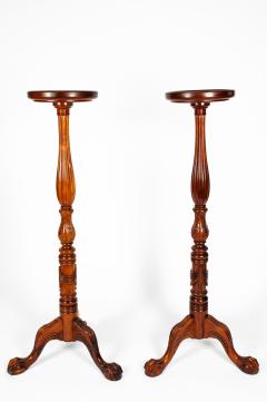 Pair of Mid 20th Century Plant Stand Fern - 554528