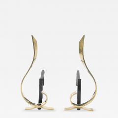 Pair of Mid Century Curvilinear Polished Brass Andirons with Gunmetal Fittings - 4720129