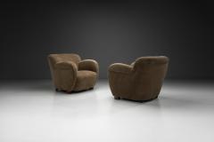 Pair of Mid Century Modern Armchairs Europe Mid 20th Century - 4452433