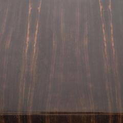 Pair of Modernist Macassar Nightstands End Tables with Bronze Paneled Drawers - 1507665