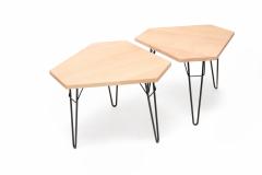 Pair of Modernist Side Tables - 265609